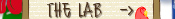 the lab's website