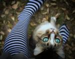 witchling's Photo