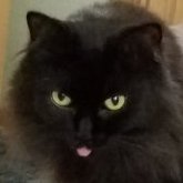 Hexakat