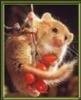 Dormouse