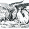 Gryphon